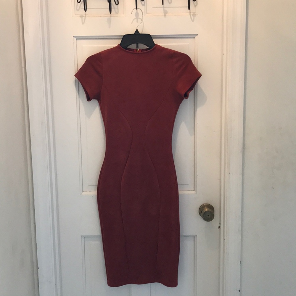 Brick Red Suede Bodycon Dress